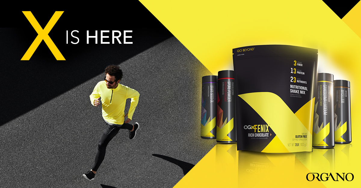 Image result for organo fenix