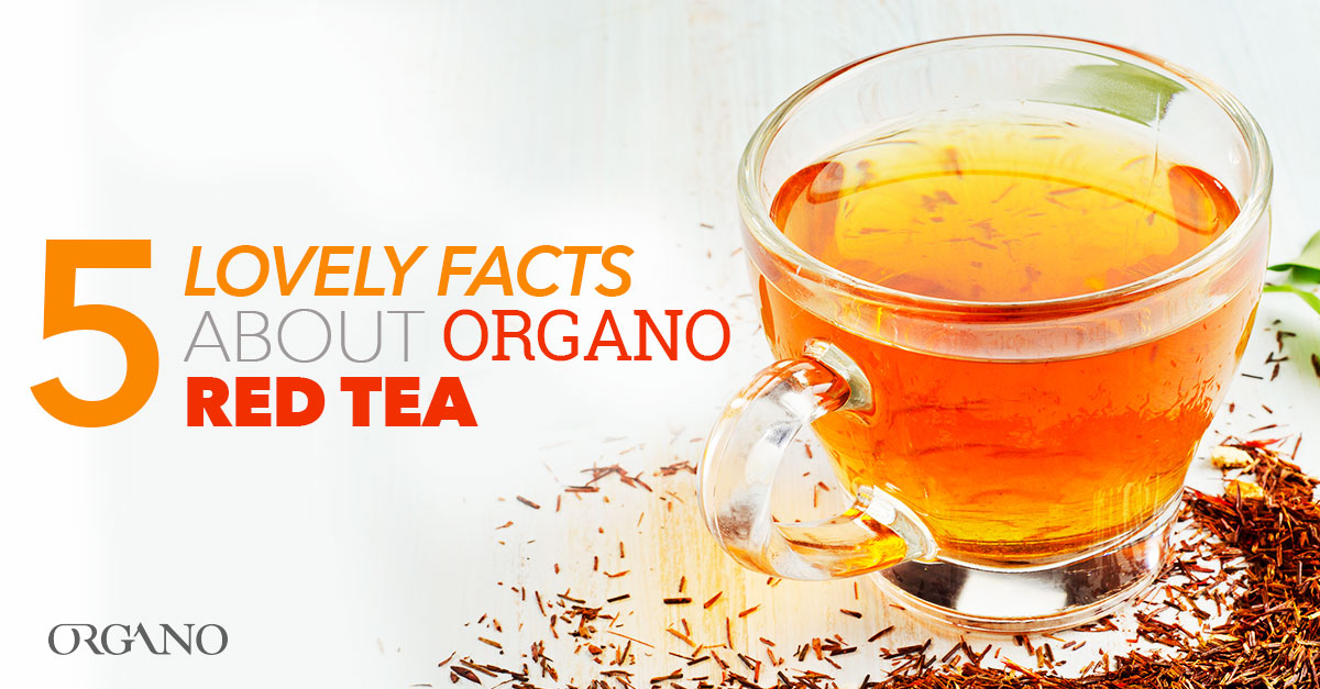 pakke fødselsdag dissipation 5 Reasons Why Red Tea Means Love at ORGANO™ This February