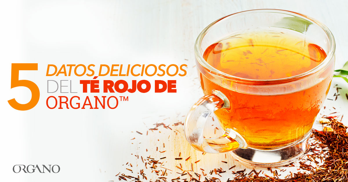 Para que sirve el te rojo organo gold