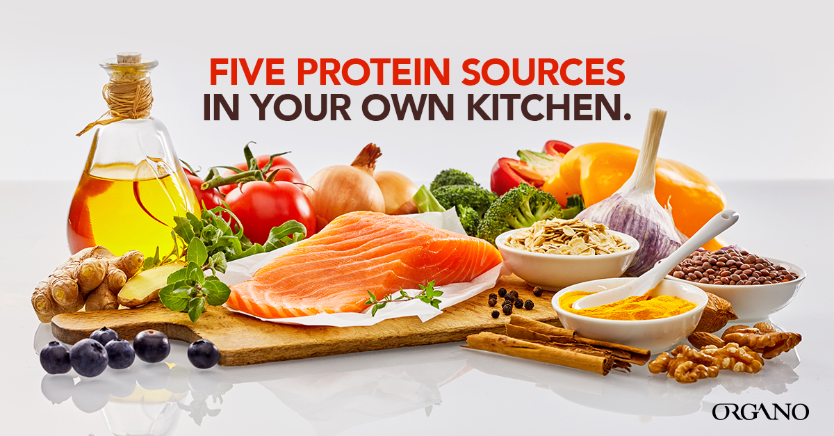 Five Delicious Foods Which Are Excellent Protein Sources