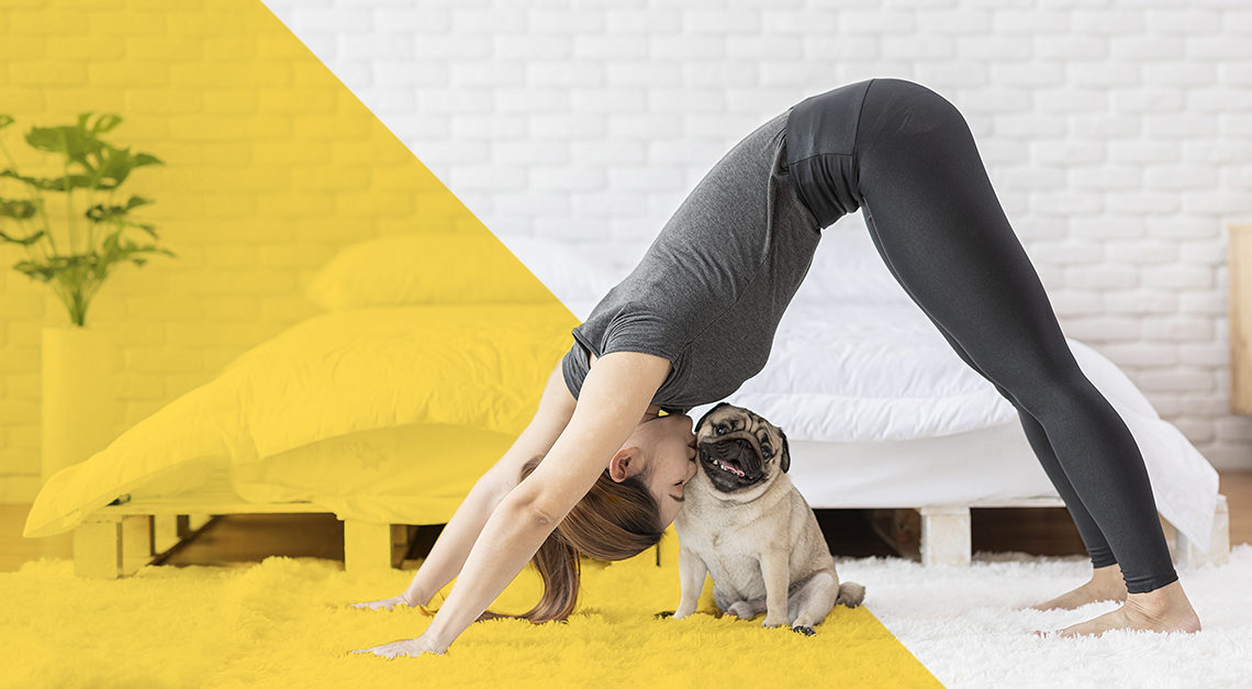 Workouts you can do with your pets