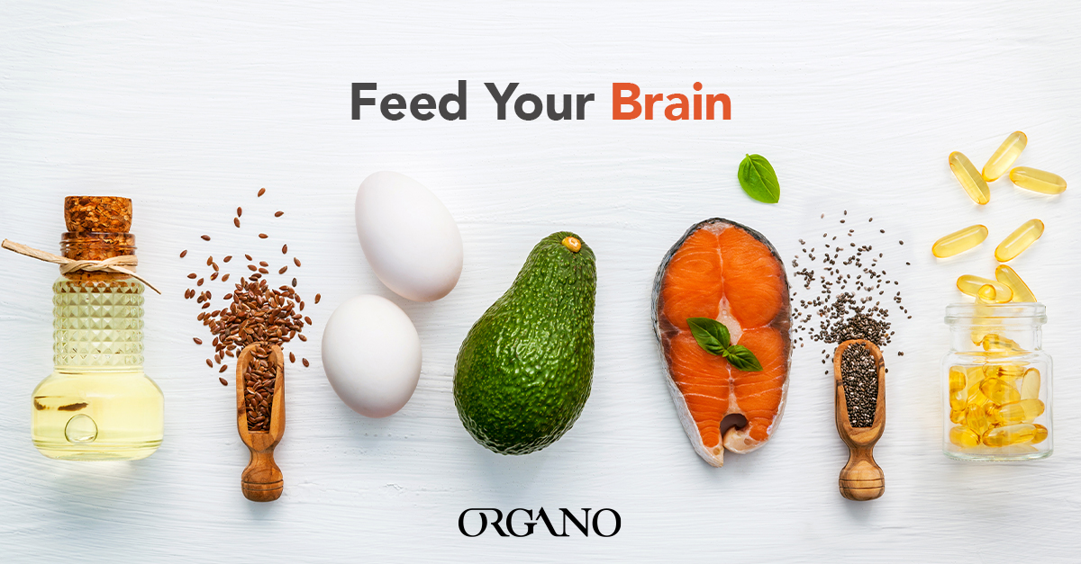 Foods To Fuel Your Brain - ORGANO™ Official Blog