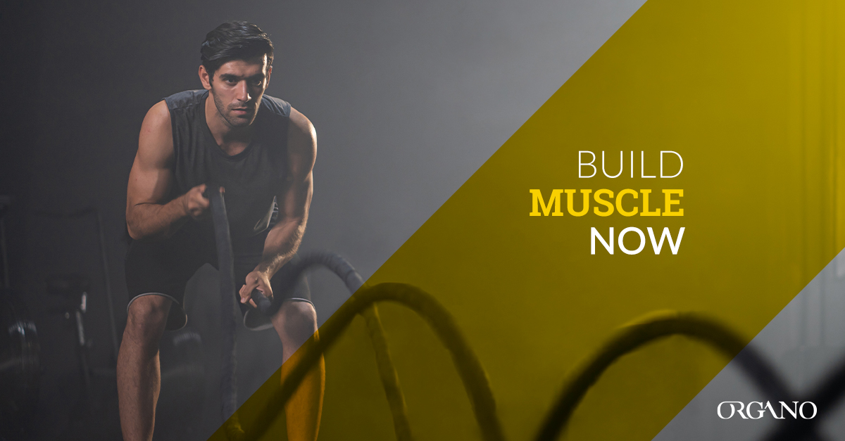 Muscle-building tips and supplements - ORGANO™ Official Blog