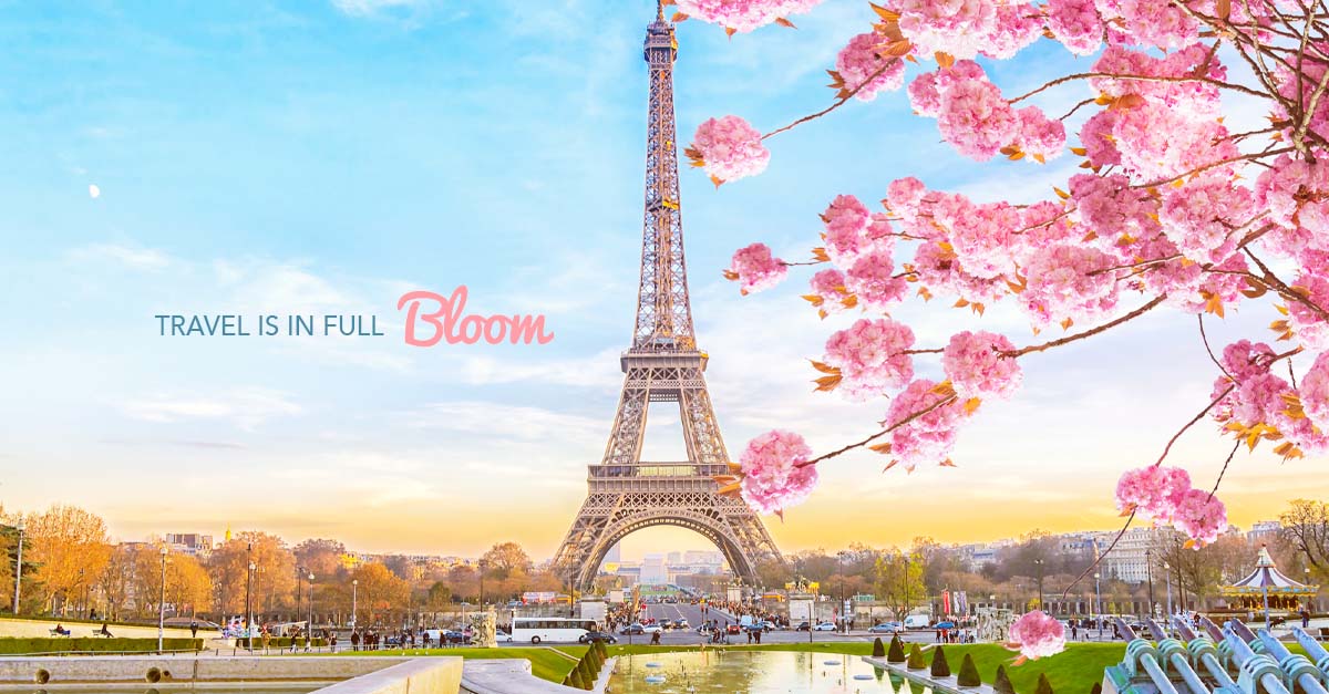 Top 5 Best Places to See Spring Blooms with Navé - ORGANO™ Official Blog