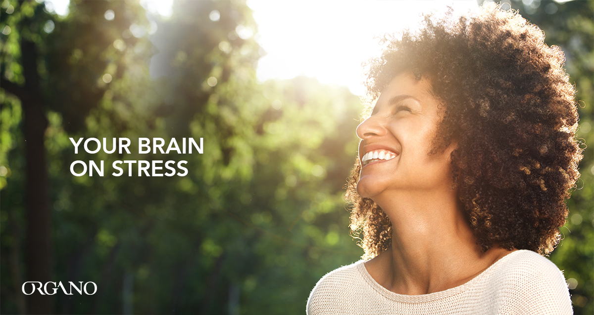 Unleash Your Brainpower - ORGANO™ Official Blog