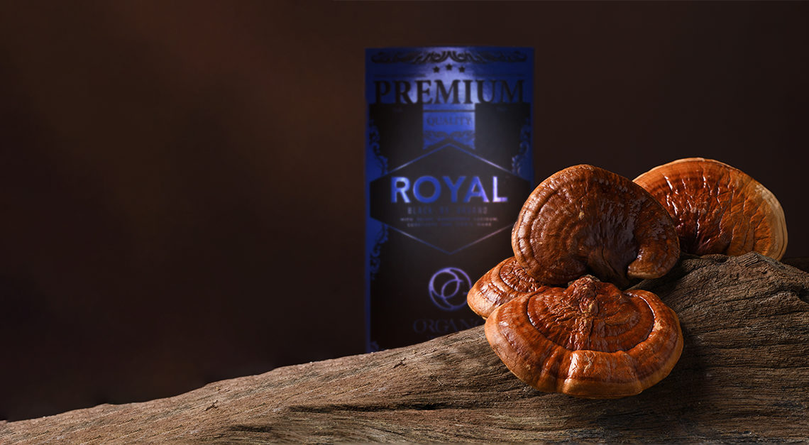 Natural Energy Revival: 5 Surprising Ways Ganoderma Boost Your Vitality