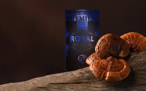 Natural Energy Revival: 5 Surprising Ways Ganoderma Boost Your Vitality