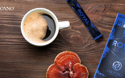 Focus. Energy. Calm. The 3 Back-to-Routine Essentials You Didn't Know You Could Drink