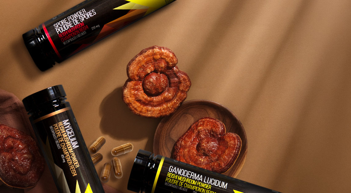 Reishi Mushroom Supplements: Your Guide to Spores vs Mycelium vs Ganoderma