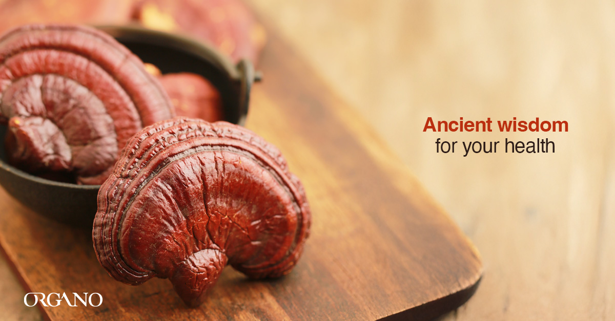 How Ganoderma Can Boost Your Immune System This Fall - ORGANO™ Official ...