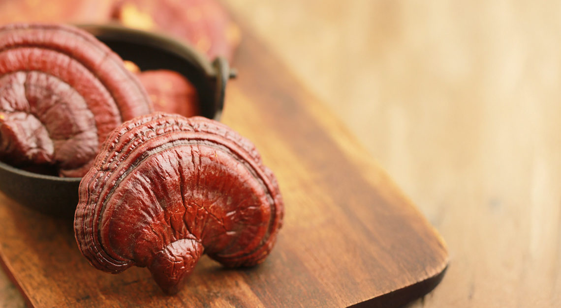 How Ganoderma Can Boost Your Immune System This Fall