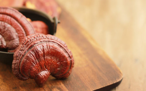 How Ganoderma Can Boost Your Immune System This Fall