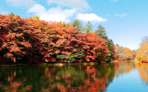 3 Wellness Destinations To Slow Down